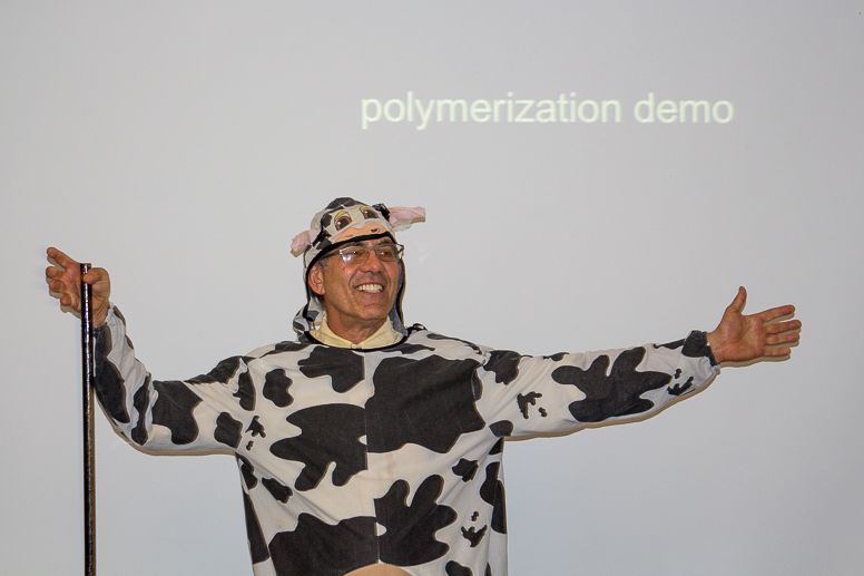 bob in cow suit